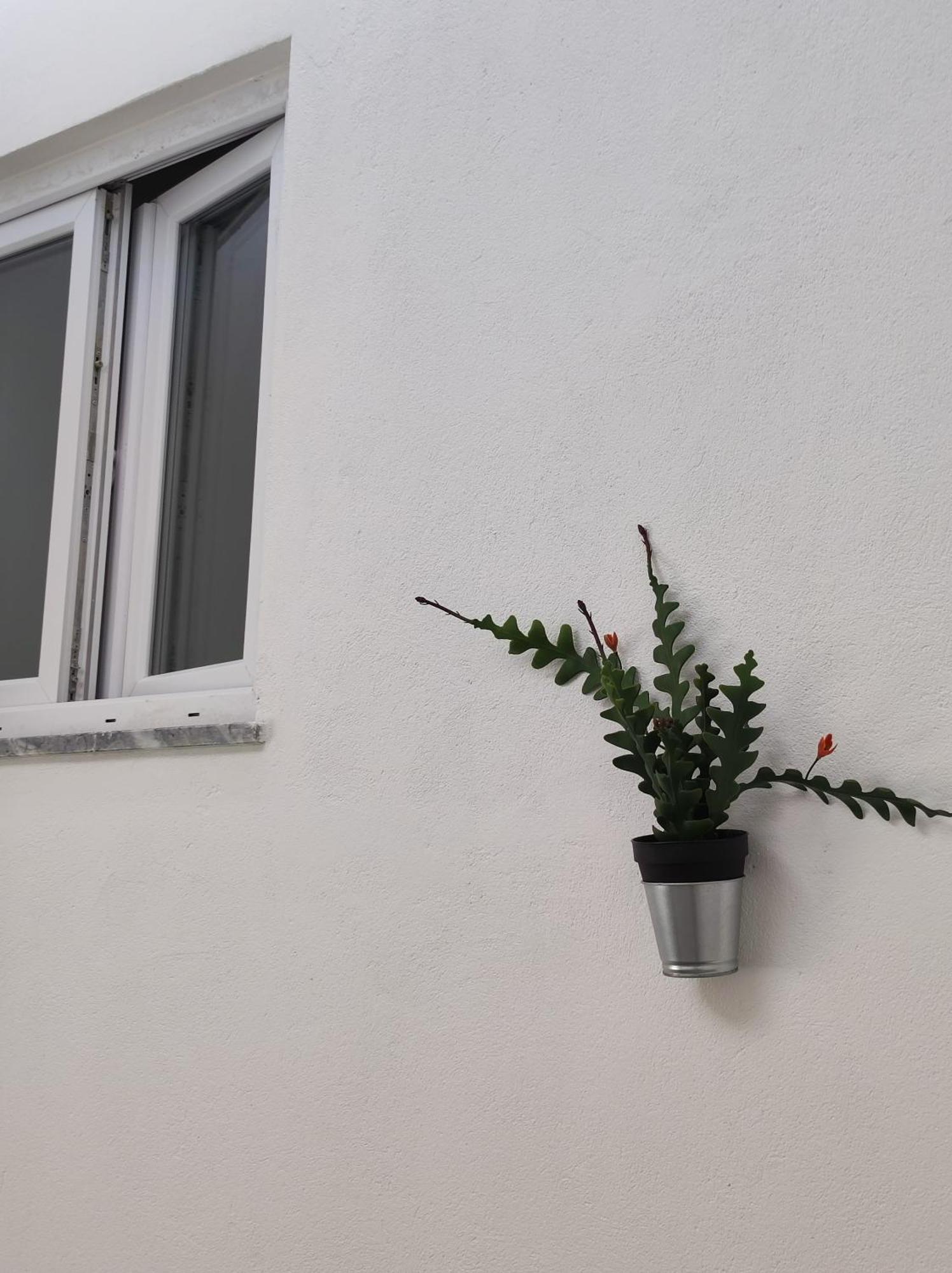 Divine Room FAO Exterior foto
